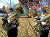 Veterans' Day Parade (375Wx281H) - I love those tubas! 